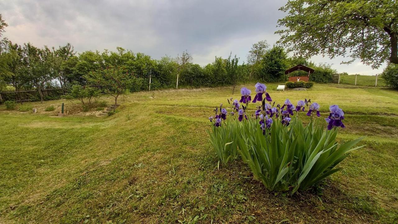 Vadászles Vendégház Apartamento Bukkszentmarton Exterior foto