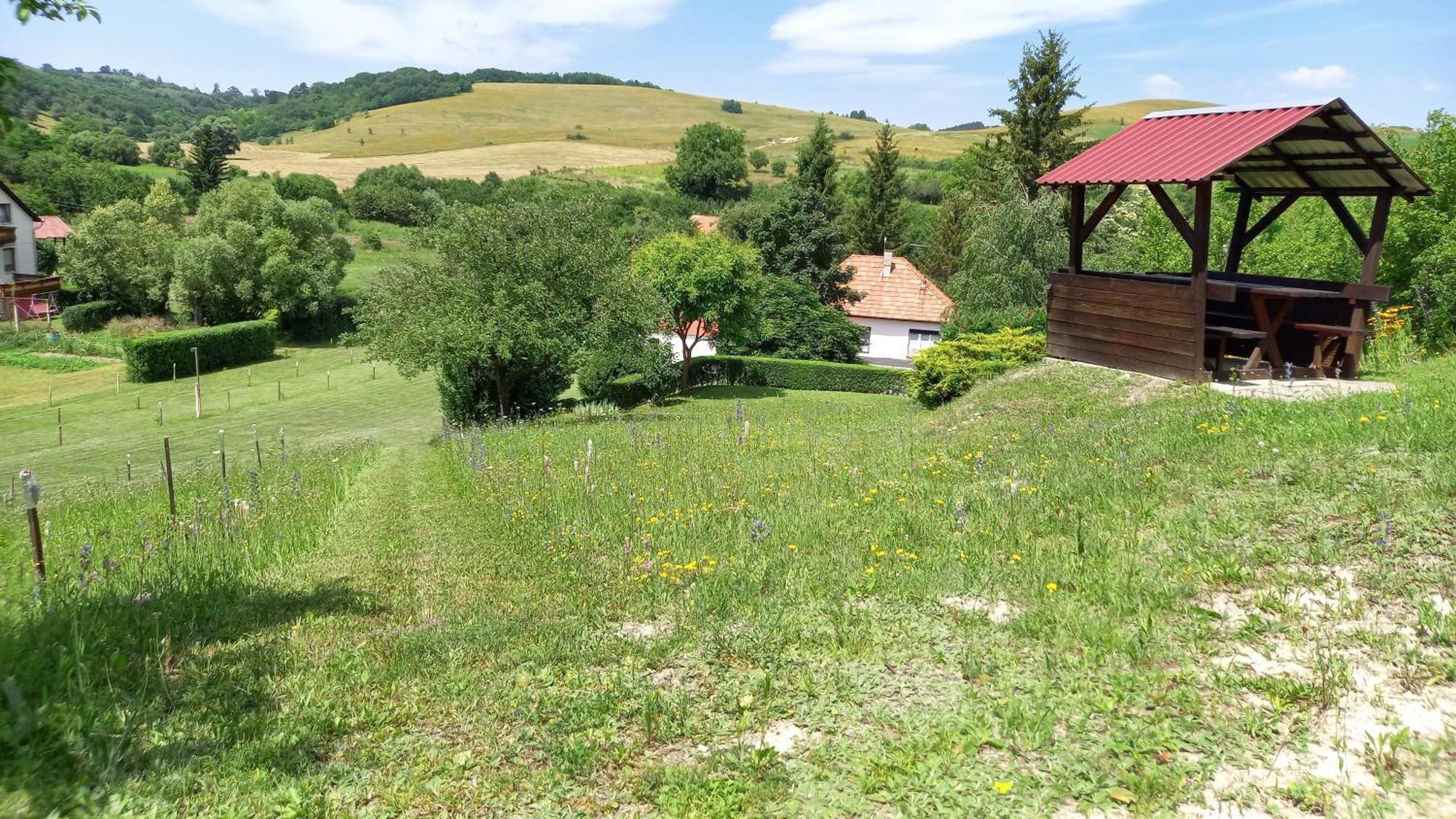 Vadászles Vendégház Apartamento Bukkszentmarton Exterior foto